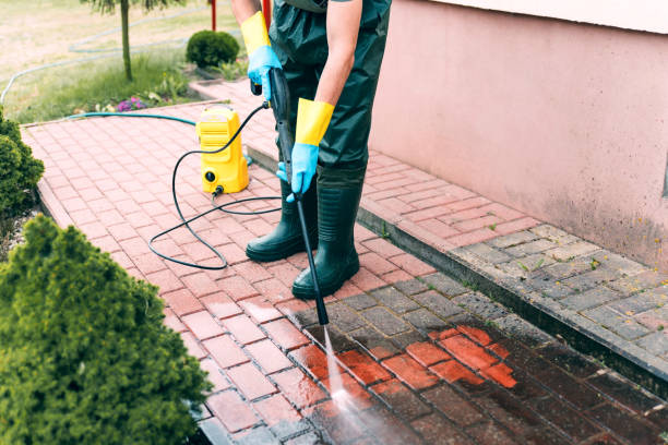 Roof Power Washing Services in Central Gardens, TX