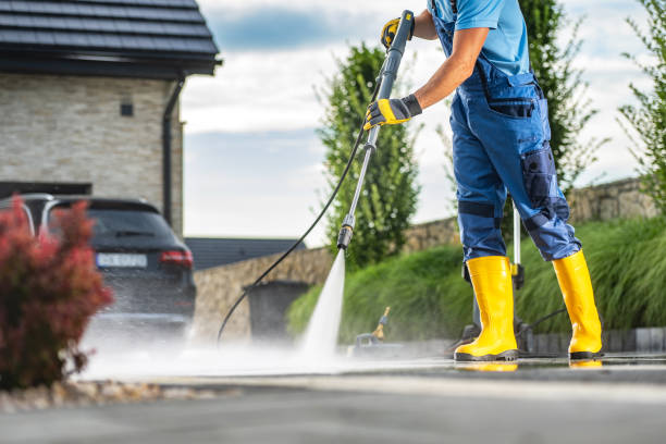 Best Roof Pressure Washing  in Central Gardens, TX